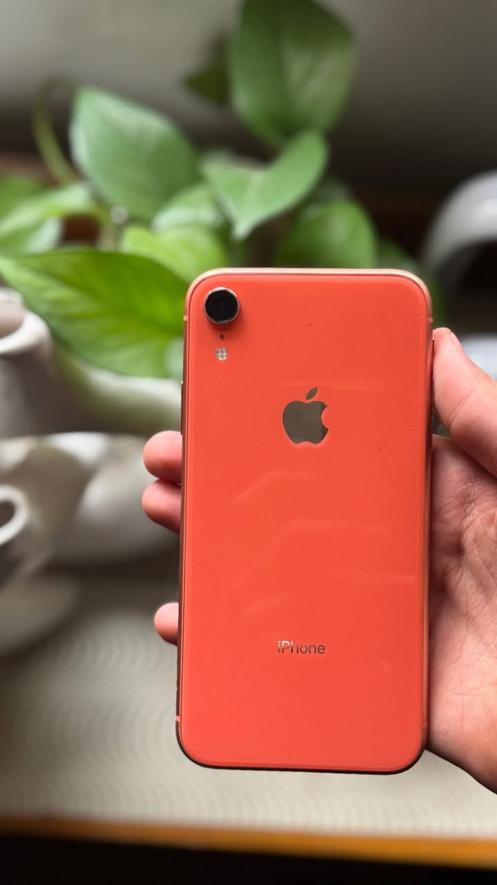 ايفون اكس ار للبيع اكو مراوس كركوك


**إذا كنت صاحب هذا الإعلان وتريد حذفه لأي سبب، رجاءا أرسل رسالة إلى الدعم الفني**