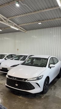 كن بلاس • ٢٠٢٥ • هايبرد