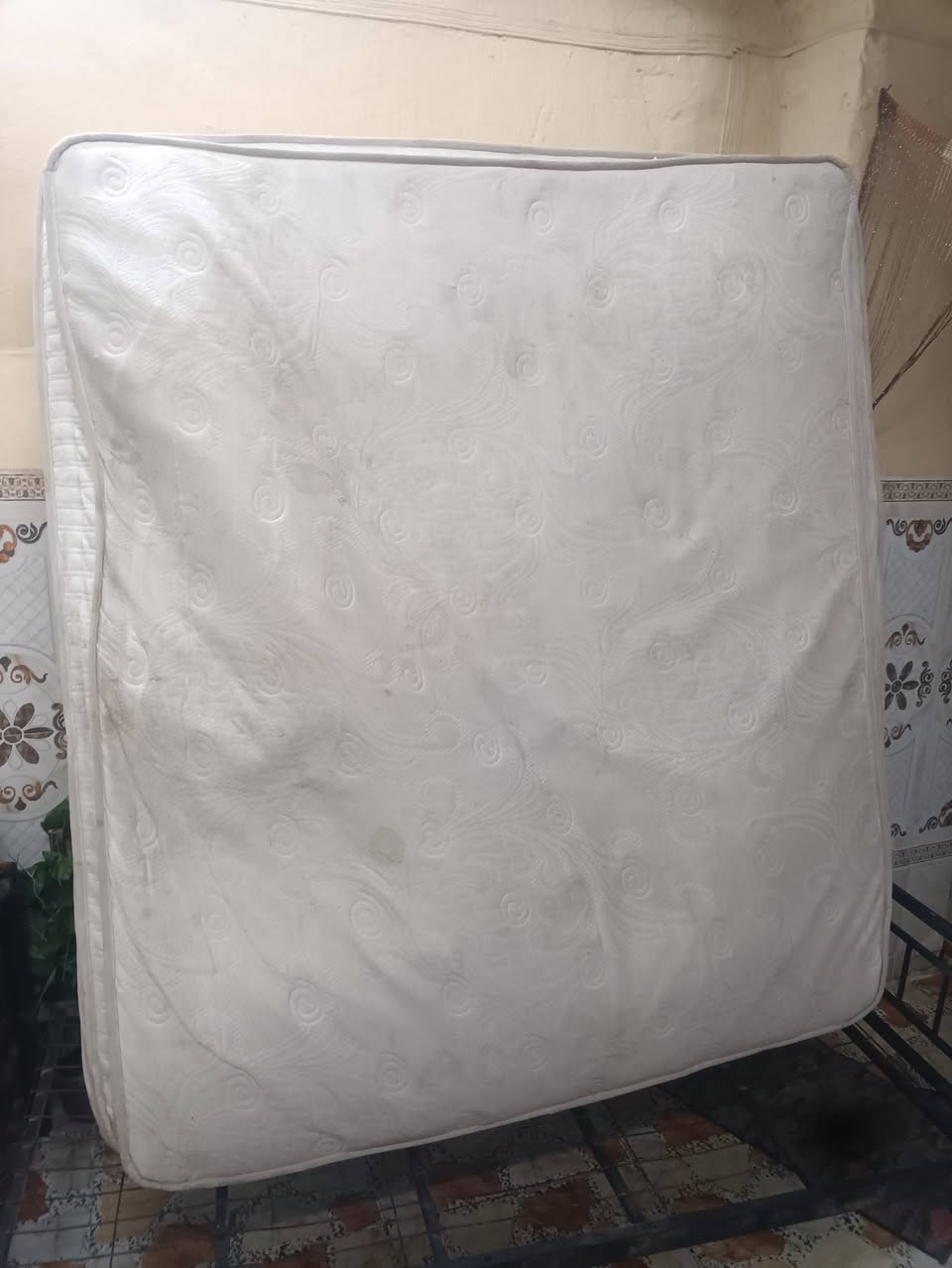 50 سعرهم هذا رقمي نظيف ***********
