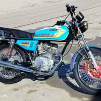 تايكر سونك ٢٤ • اوراق • سكنر