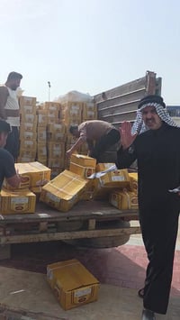 النجف • عام