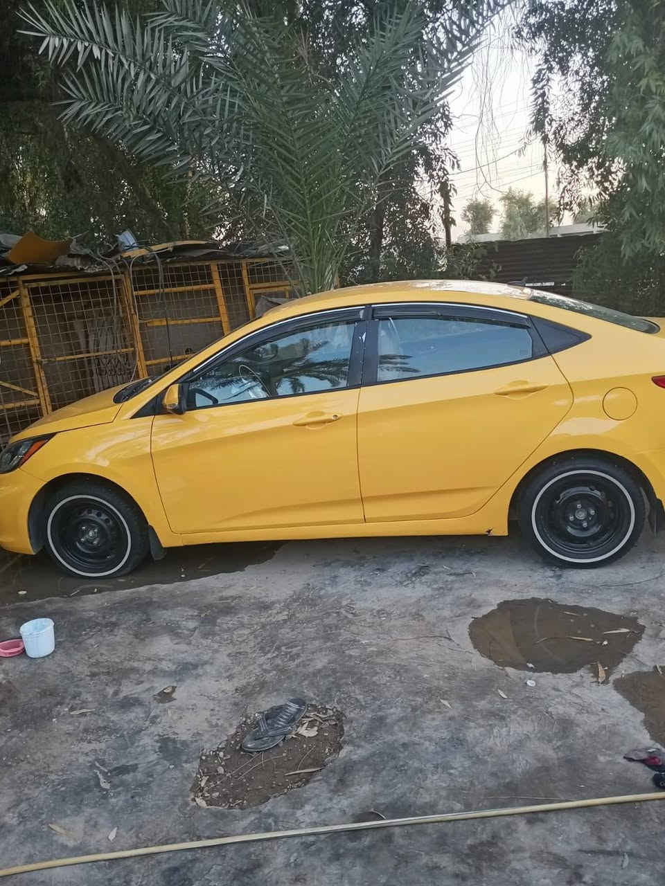 سلام عليكم اكسنت موديل ٢٠٠١٣ رقم بغداد نكليزي سنويه ابسمي مكينه جيتي اي الف ٦٠٠ مكينه وكيروتماتيك مكفولات التبريد شغال بي ضربي الجاملق الخلفي مراوس ماكو بيع فقط السعر ٦٥ بكانهه بغداد ***********

