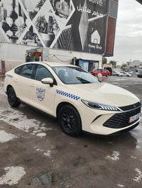 بي واي دي قين بلس • ٢٠٢٥ • ٢٥٠٠ كم