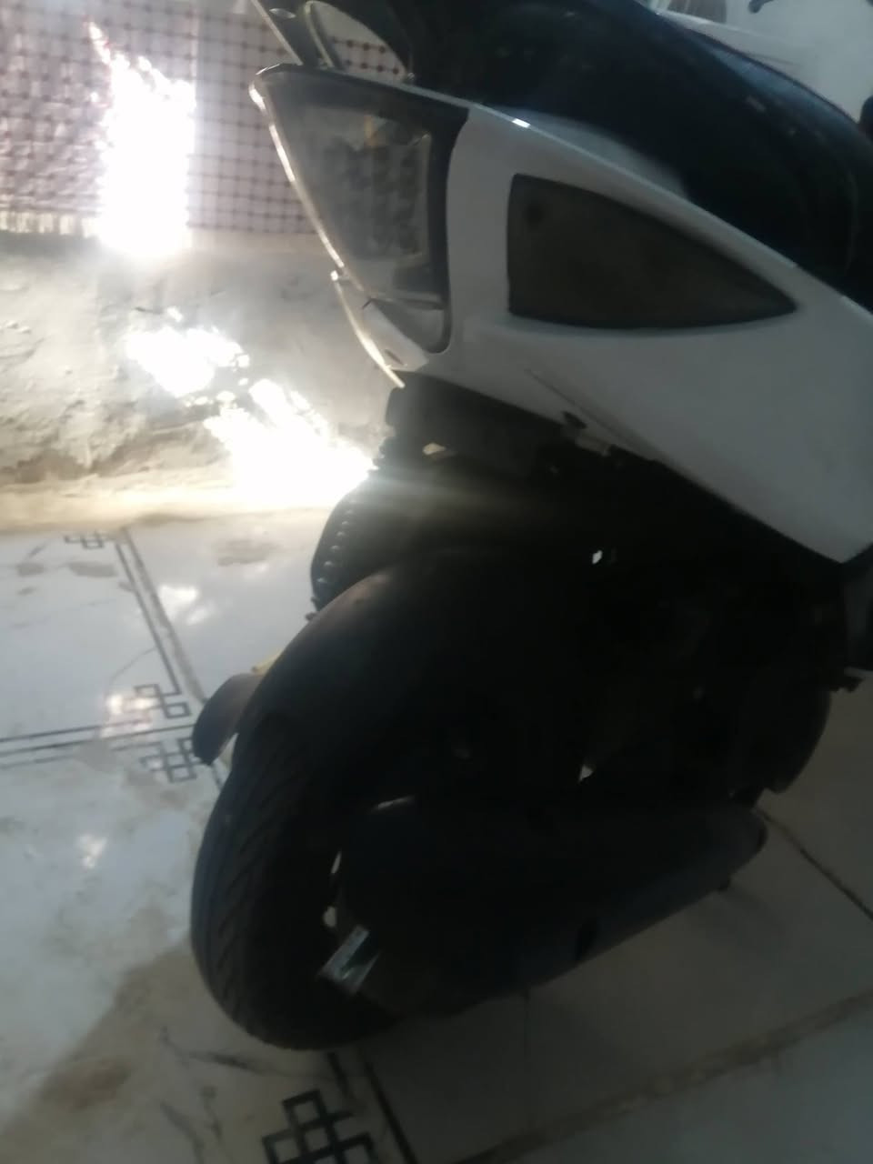 ،، ماكس ثعلب مراوس 11(***********
