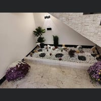 ديكورات حدائق • زراعة ثيل • النجف