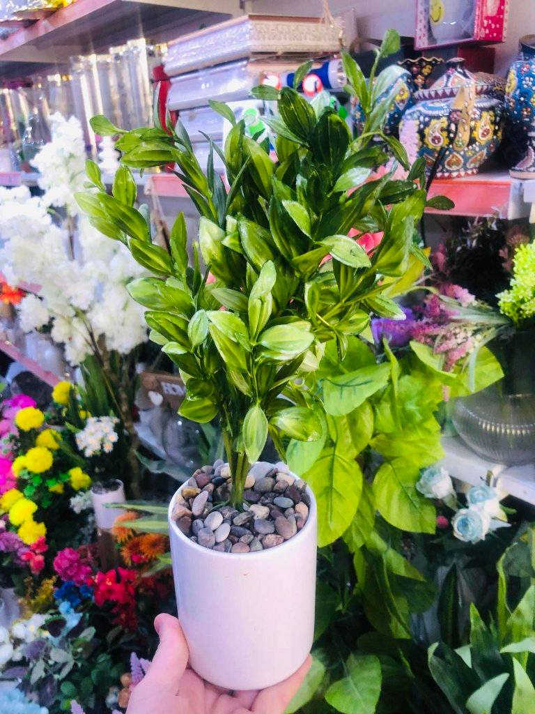 گوڵی دەستکرد وا جوان نەبێ مەیکڕە بە باشترین کوالیتی دروستکراوە هەموو تەڵەب خاس و دەستکرد تایبەت خۆمانن
ئێستا بەردەستە 

ناونیشان سەیدسادق نزیک پردی قەرزاران یان نزیک مزگەوتی ئەبوبەکری سدیق


**إذا كنت صاحب هذا الإعلان وتريد حذفه لأي سبب، رجاءا أرسل رسالة إلى الدعم الفني**