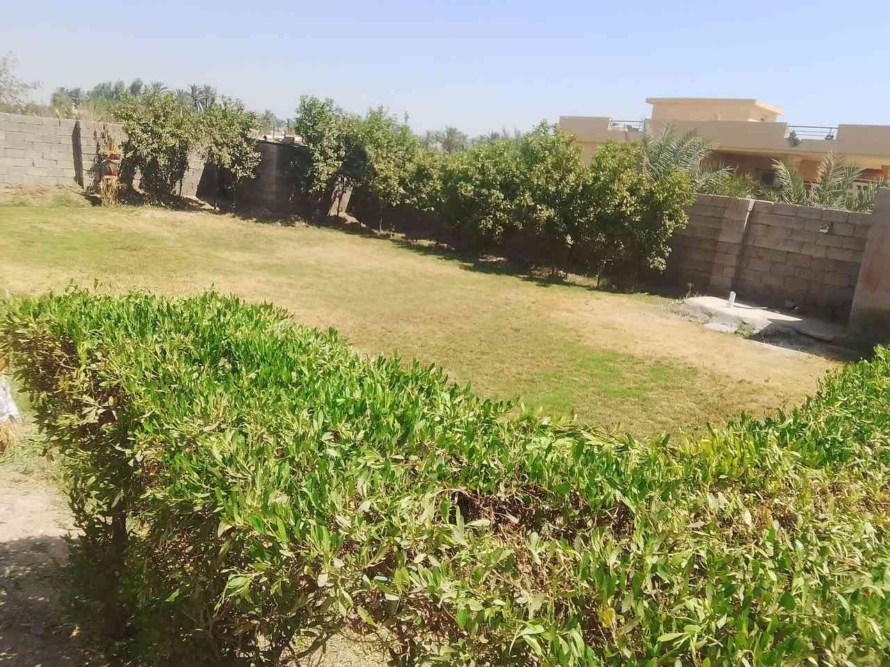 يتاليوسفية معمل زينب شارع وزير يوجد بيت يجار متوفر ماء وكهرباء وسحب ومادرس وتبليط لباب لبيت***********
