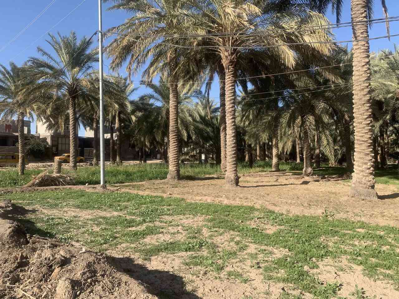 السلام عليكم يوجد قطعه ارض اكثر من نصف دونم واجهيه 18متر ونزالها 74على شارع جماليه قرب مجمع الرحمان السياحي سعر 220مليون وبيها مجال ***********
