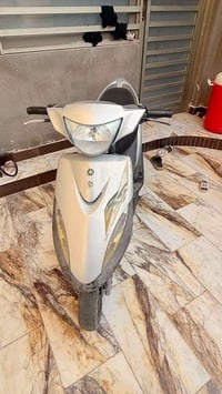 ماكس • كفاله • وارد