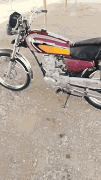 07716655167 بدون اوراق 07812134417