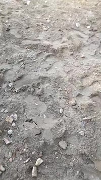 هدم الدور والبنايات ورفع الانقاض وتجهيز المواد الإنشائية بأنسب الأسعار...