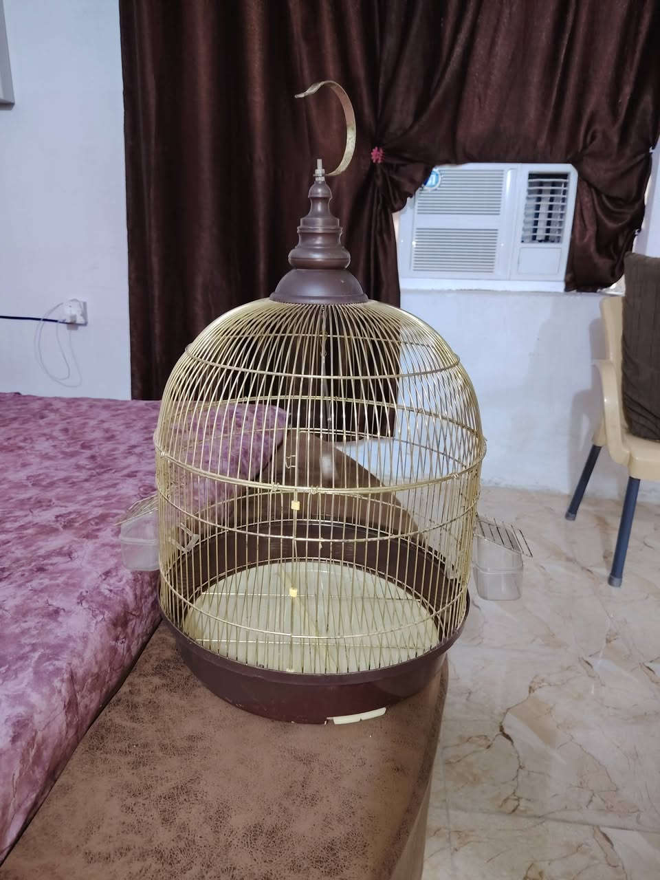 قفص حجم كبير  للبيع لسعر30 للاستفسار خاص


**إذا كنت صاحب هذا الإعلان وتريد حذفه لأي سبب، رجاءا أرسل رسالة إلى الدعم الفني**