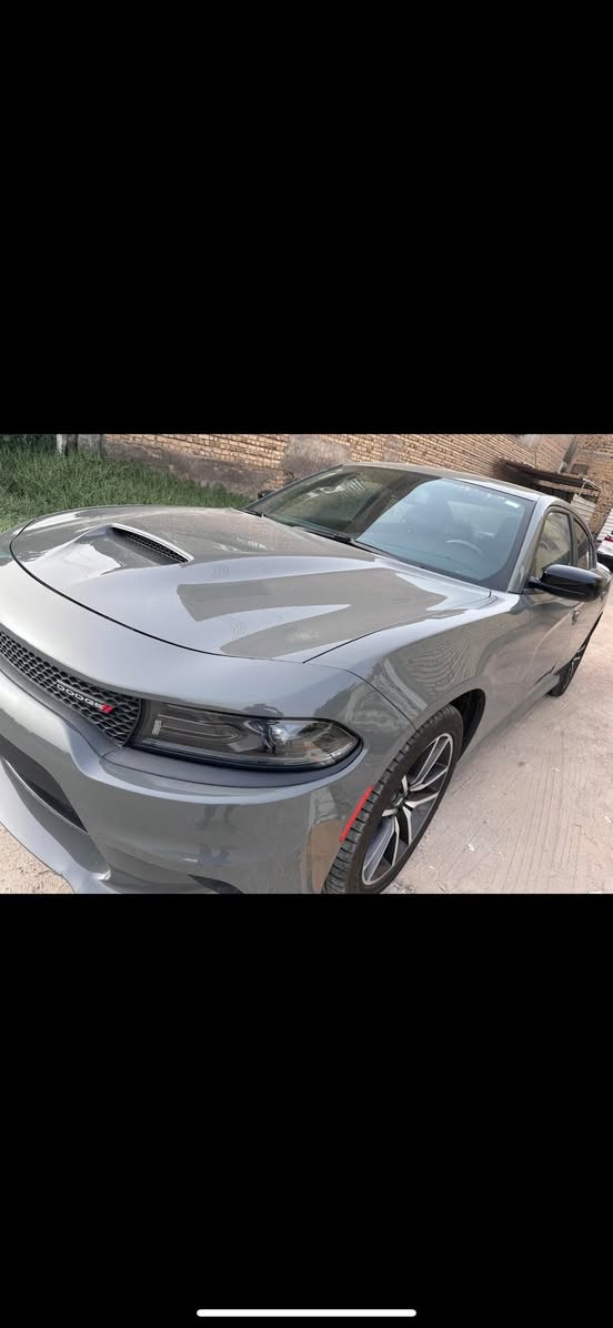 جارجر جي تي 2023 وارد امريكي رقم بغداد 
كلين تايتل كفاله عامه من الحادث والكلير  والغرق والعطل الميكانيكي 

السياره بيه ملاحضه وحده خدوش بسيطه جدا ومصوره الك بالمنشور 

السياره ماشيه 33 ميل 
 
 
المواصفات :

* رادار جانبي 
* مصابيح أمامية زنون . 
* كشافات الضباب زنون . 
* المصابيح الأمامية مع LED . 
* حساسات . 
* شاشه كبيرة مع نظام ملاحة نفكيشن GPS .
* الشاشة مع اوپشنات SRT . 
* سستم صوت الپاين .
* ويل ارتي قياس 20 انج . 
* مقاعد جلد رياضية . 
* مقاعد أمامية كهربائية عدد 2 . 
* ذاكرة لحفظ وضعيات الجلوس (ميموري) . 
* مقاعد أمامية تبريد وتدفئة . 
* مقاعد خلفية تدفئة . 
* تشغيل عن بعد . 
* ستيرن كهربائي . 
* تدفئة ستيرن . 
* محدد سرعة . 
* تلفون بلوتوث . 
* كاميرا خلفية .
* مرايا متحسسة للاضاءة العالية .
* كير شفتر بالستيرن . 
* دخول ذكي (بصمة) .

السعر 298$ 
السياره رقم بغداد
للتواصل ***********
مكان السياره ناصريه
