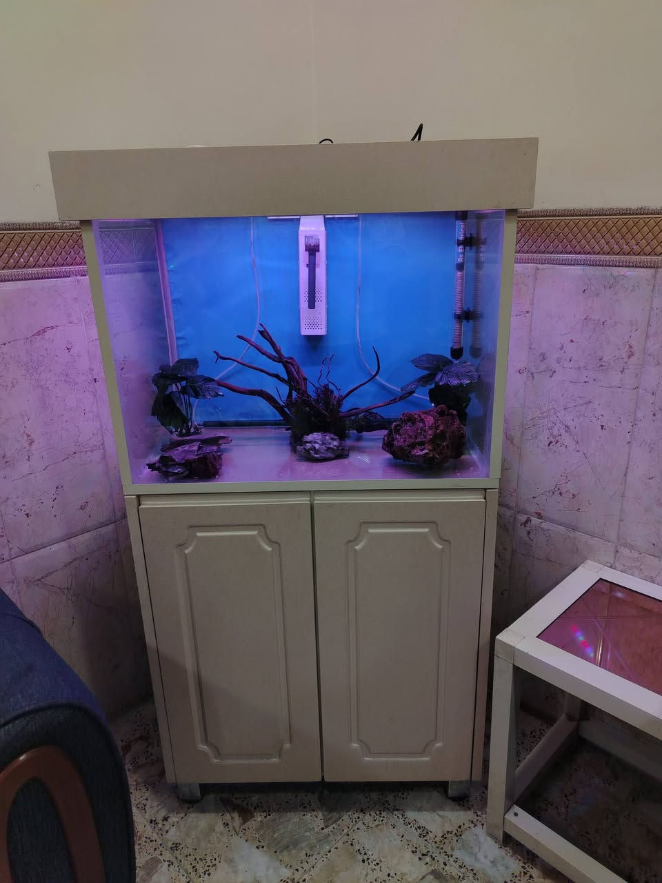 السلام عليكم للبيع حوض كامل مكمل يحتوي علي ماطور تصفية وشلال وشمهة وهيتر وكاونتر HDF  ولباقي كدام  عينكم مكانة بغداد الامين الثانية السعر 225 وبي مجال رقم الهاتف ***********
