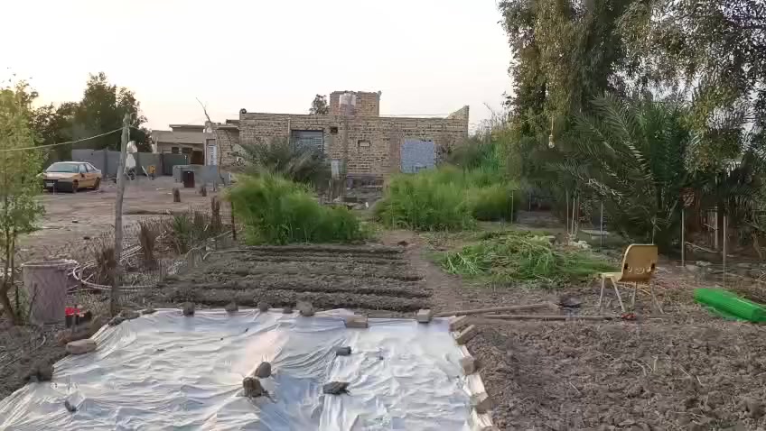 الاستفسار. ع الرقم 
***********
