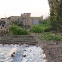 المزبانية • ٤٣٧٥م • للبيع