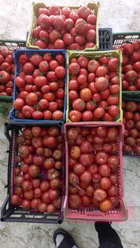 بقالية حمودي • هيت حي الزهور الثانية • توصيل مجاني