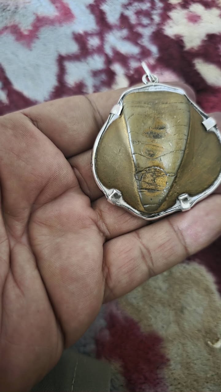 ا


**إذا كنت صاحب هذا الإعلان وتريد حذفه لأي سبب، رجاءا أرسل رسالة إلى الدعم الفني**