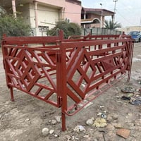 محجر فحل • صار سبوع • نجف