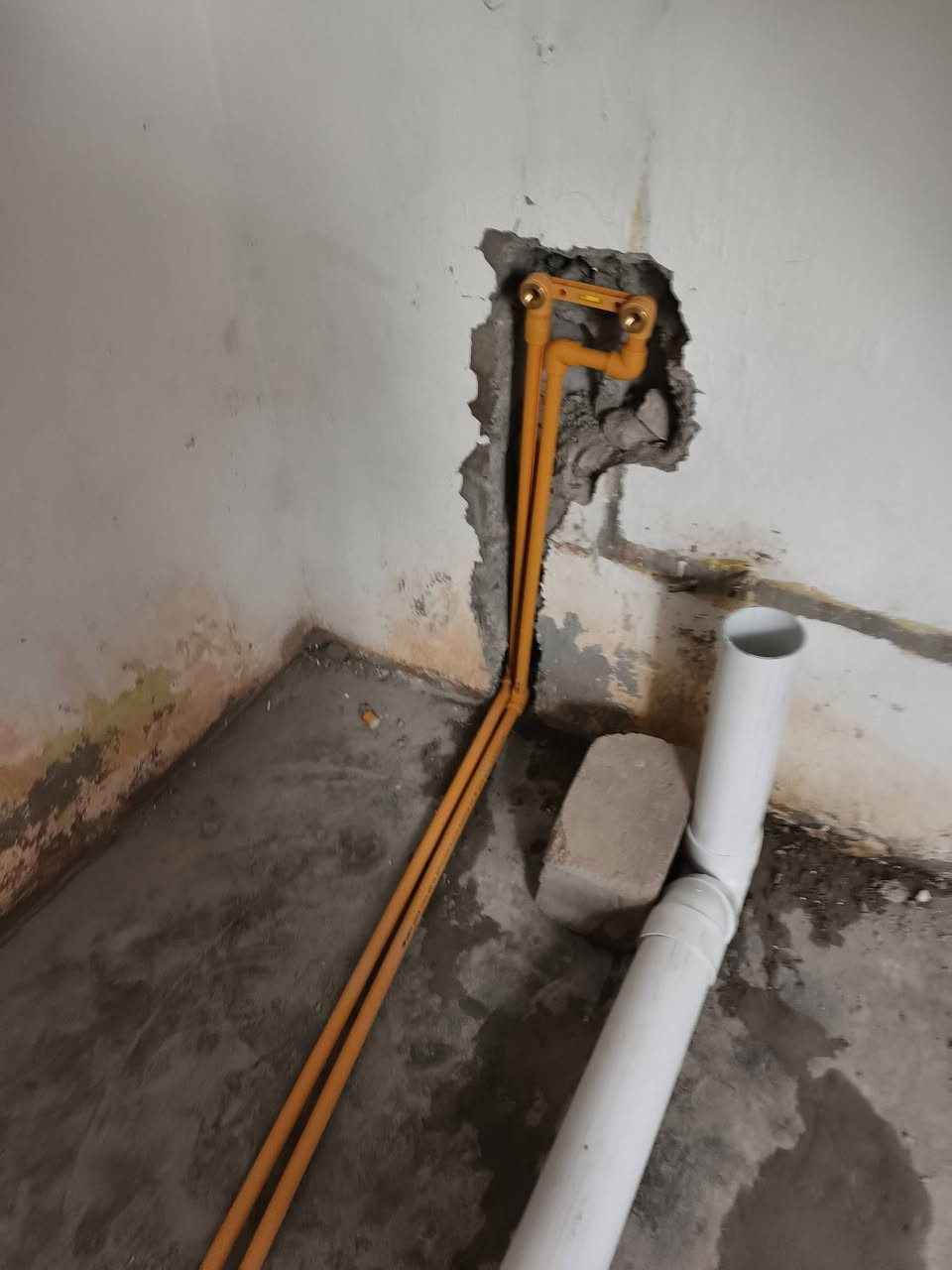 تئسيس صحيات اسعار مناسبه شغل درجه اوله هاتف ***********
