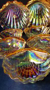 ياباني • صدفة • ٧ قطع