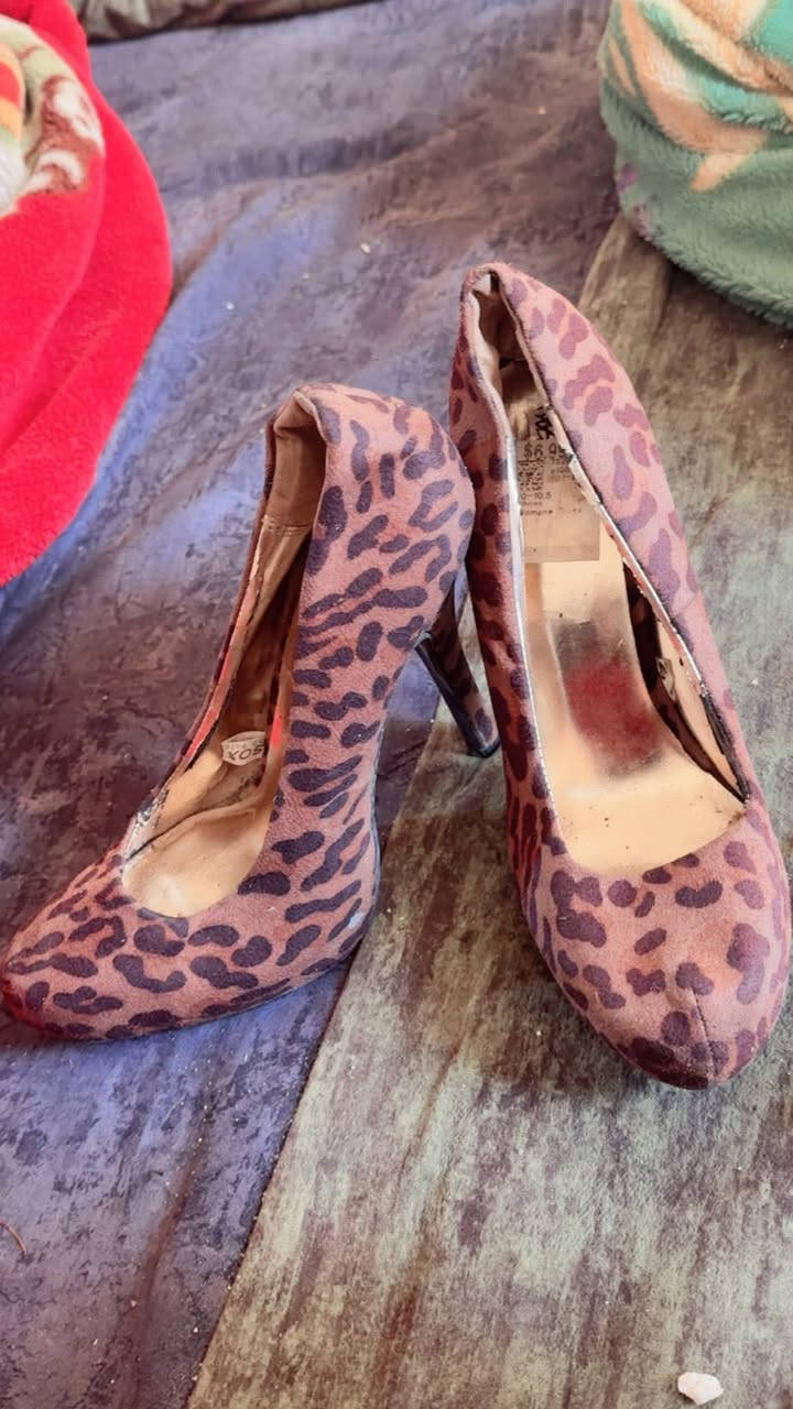 فستان جديد ملبوس ساعه بس بالقاعه سعره 25 مع التوصيل قياسه 44 يجنن بالبس بنات الصدر كله شغل يدوي مع الحذاء قياس 40 سعر 5


**إذا كنت صاحب هذا الإعلان وتريد حذفه لأي سبب، رجاءا أرسل رسالة إلى الدعم الفني**