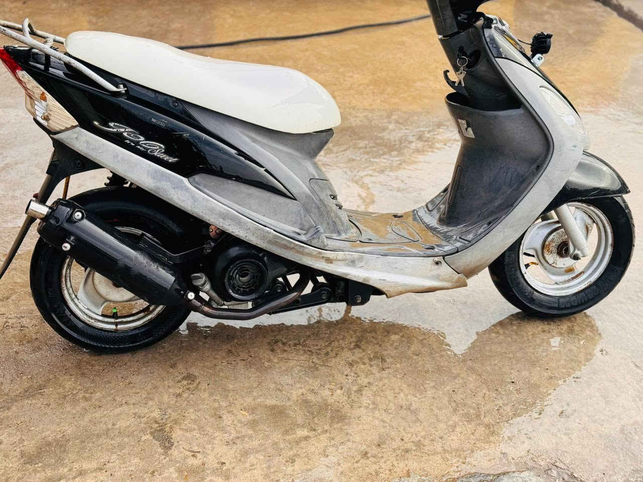 دراجه ماكس البيع
‏‪077-060-99732‬‏


**إذا كنت صاحب هذا الإعلان وتريد حذفه لأي سبب، رجاءا أرسل رسالة إلى الدعم الفني**