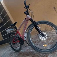 باسكل جبلي • حجم 26 • ديسك