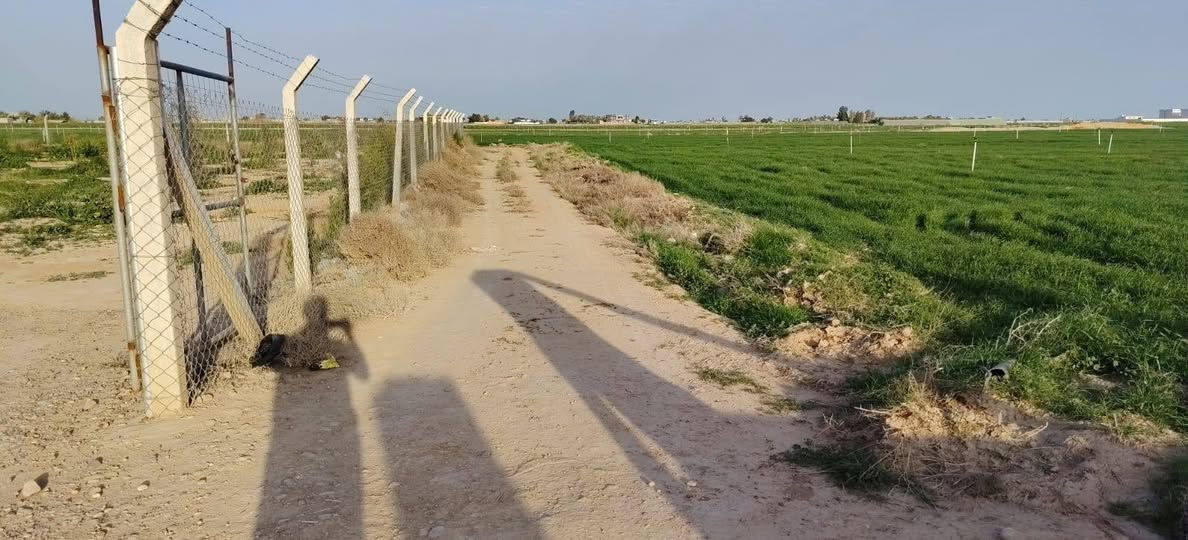 دوانم للبيع🏠في حي الطيوب 
 مخدومات ماء وكهرباء  قرب الشارع العام و على شارع مدرسة ضرار ابن الزور.
للاستفسار يرجي الاتصال على الرقم المكتب الخاص *********** مكتب 🏢وطن للعقار@
