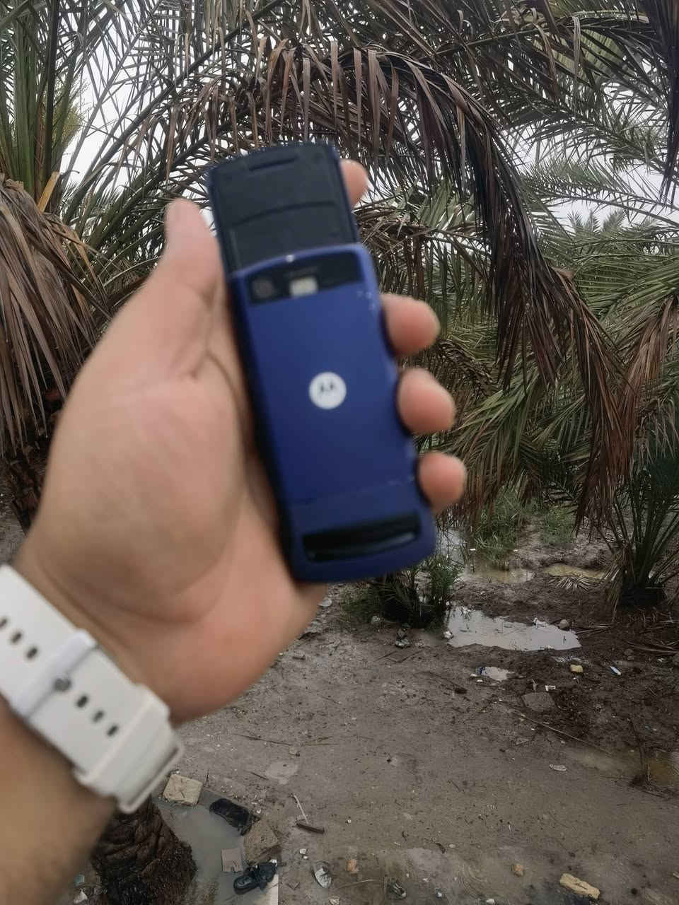 موترلا سلايت


**إذا كنت صاحب هذا الإعلان وتريد حذفه لأي سبب، رجاءا أرسل رسالة إلى الدعم الفني**