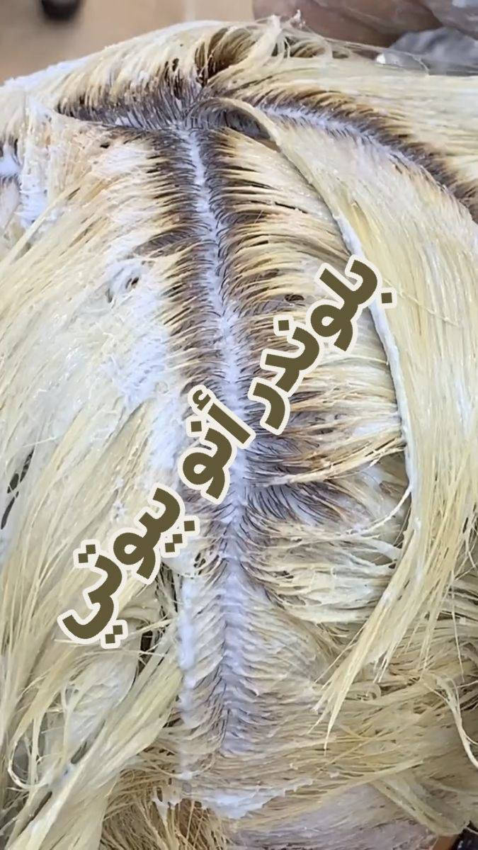 بلوندر أنو بيوتي خالي امونيا تفتيح سريع ١٠ درجات يعني يشتغل على كل انواع الشعر والحلو بي يطلع الميش الثلجي بدون صبغه مجرد تغسلي بشامبو سلفر
يشتغل غسيل الون
تخصيل
سحب لون

متوفر الأزرق والابيض

الحجز والاستفسار راسلوني خاص او واتساب ***********
