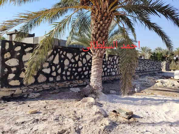 تم اكتمال سياج الأخ أبو مصطفى في جبله أن شاء الله ينال اعجابكم 
للتواصل على الخاص او على الرقم 
***********
*********** بيه واتساب 
عمل كل ما يخص الحجر بأسعار تنافسية مناسبة
