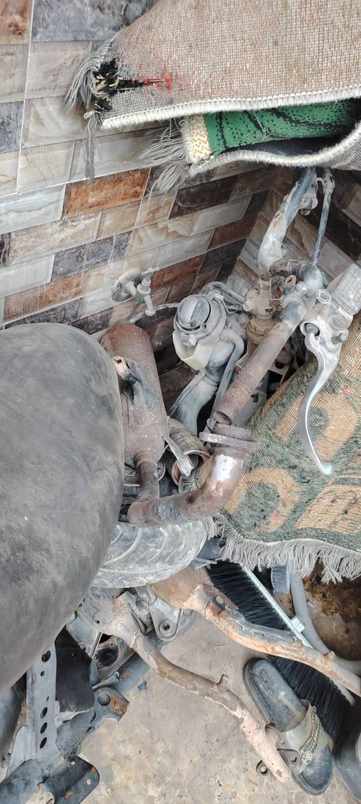 سلام عليكم سكنس فحل تفصيخ شتريد موجود وسعر مناسب مكاني بغداد ام الكبر رقم الهاتف ***********
