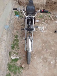 تايجر ٢١ • ٢٠٢٥ • مراوس