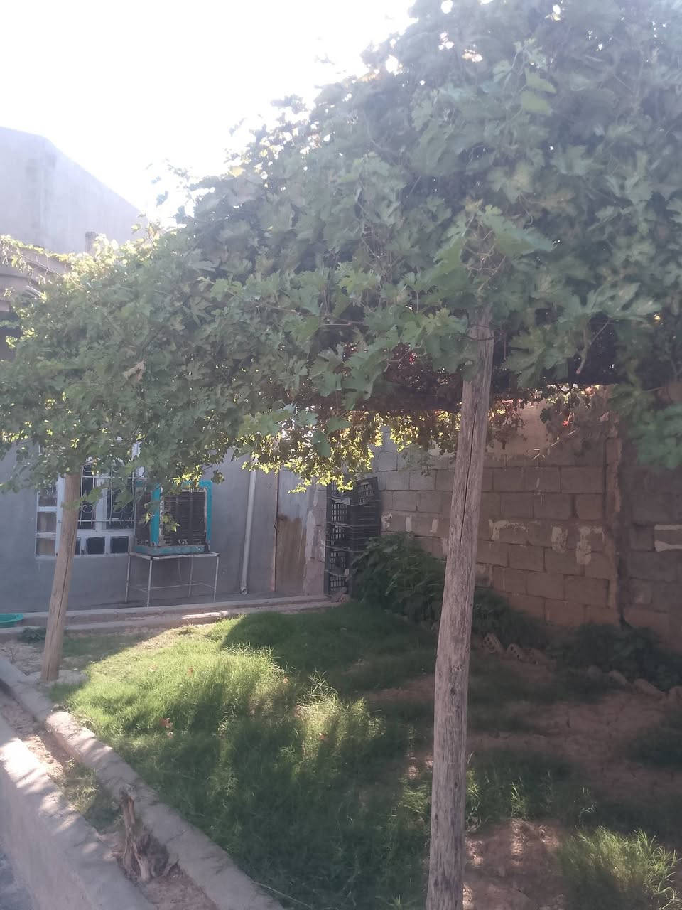 السلام عليكم بيت البيع حي الطباء مساحة البيت 250 فرع الثاني  ***********
