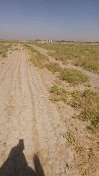 ٤٠٠ دونم • طابو زراعي • سند ٢٥