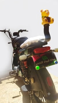 فول نشاط • بطاريات • كهربائية