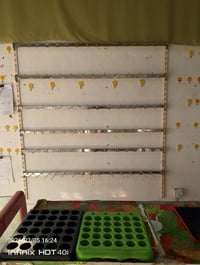 عندي محل مال موبايلات اللبيع السعر 300 بس الميوزه فقط بيها مجال للطبين...