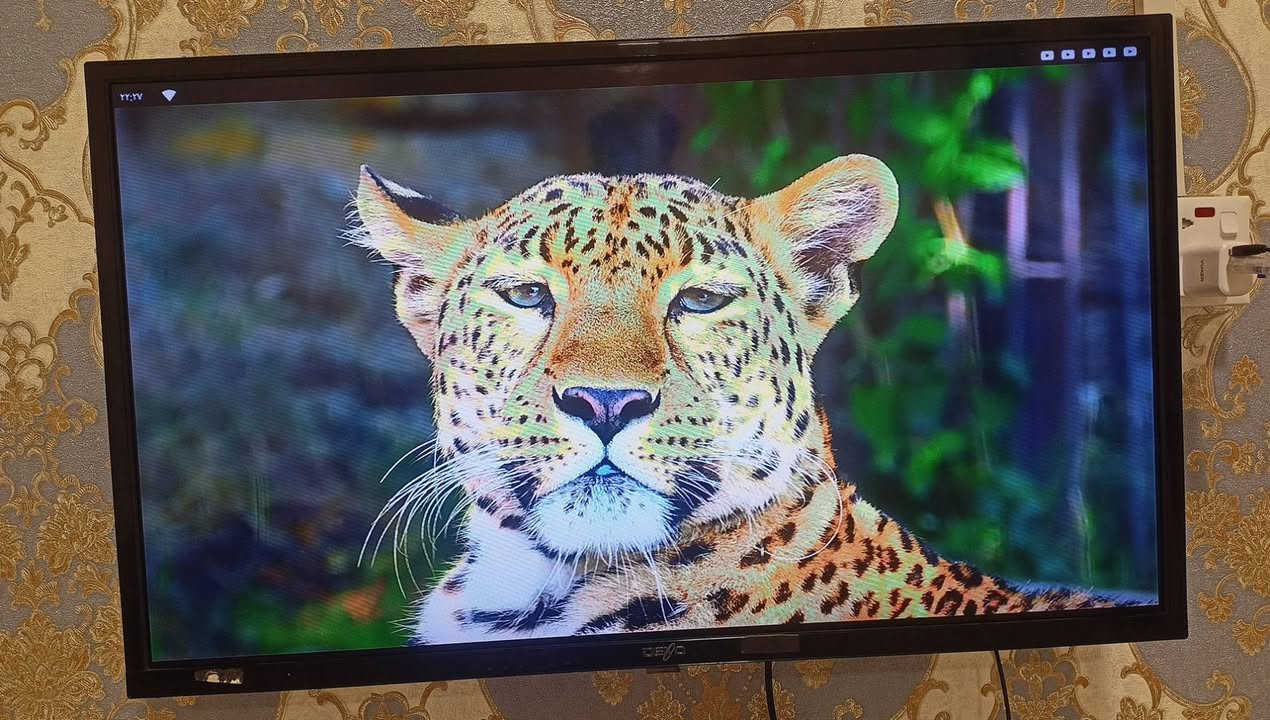 للبيع بلازمة حجم 32 فول دقه سعر70 بيهه مجال تواصل ***********
