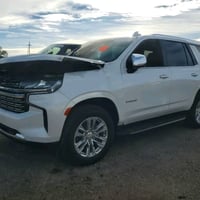 تاهو • ٢٠٢٤ • بريمير