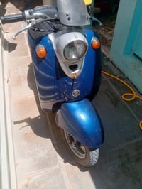 للبيع كلاسك فحل بلادي 07726917982