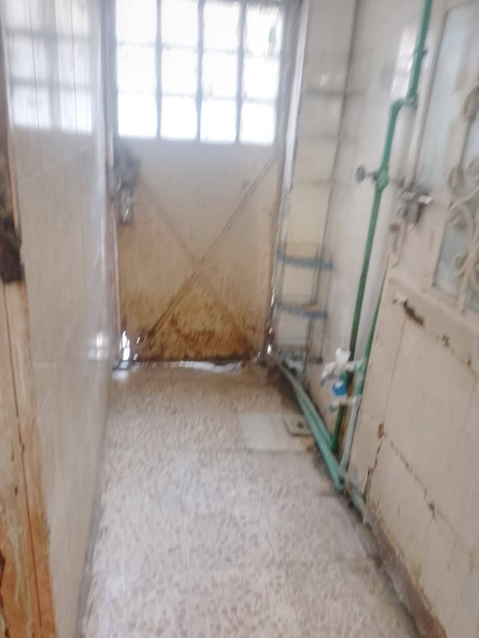 بيت للايجار شارع المطار القديم قرب صيدلية الالفة يبعد عن الشارع تقريبا 6 بيوت 
يتكون من مطبخ وصالة وغرفة وصحيات 
بسعر جدا مناسب لايتجاوز ال120
الف من يرغب في سكنة يرجى الإتصال على الرقم التالي ***********
لايتم الرد ع التعليقات لان الجهاز بيد امرة مسنة كبيرة في العمر

