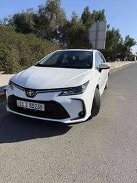 2025ماشيه 18ب150وبيه مجال بصيط 07745943119