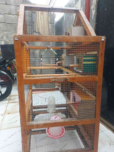 السلام عليكم 
متاح قفص لببيع  كامل 5 بيوت اومنهل ماء منهل اكل مرجوحه شغل توصى سيم خشب  جرار اسفل القفص للتنظيف عرض متر  ارتفاع متر ونص  سعر ١٠٠ وبي مجال بعقوبه ***********
