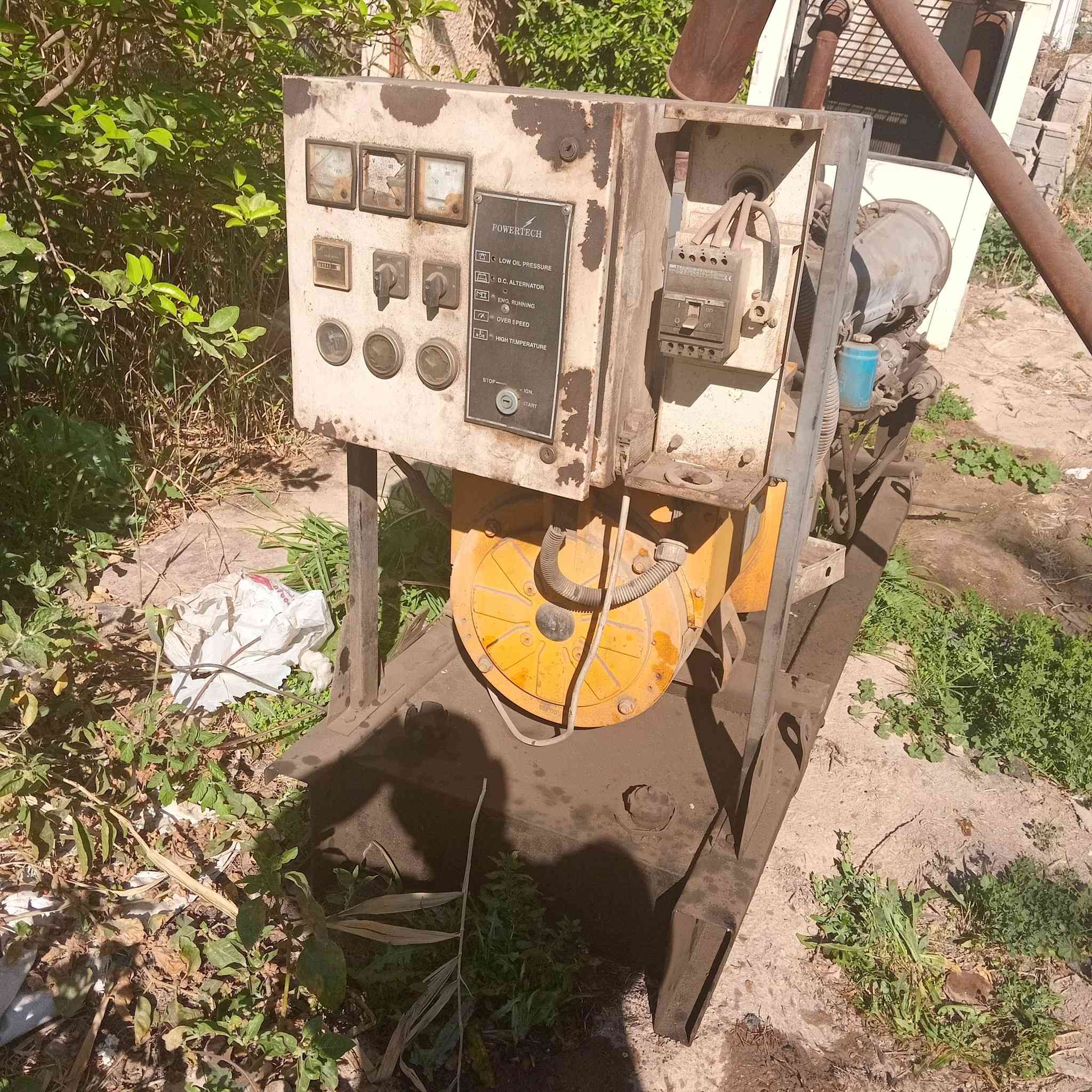 دويز حلواني رافس ٦٣ كي في توليد اصلي ٣٠ ورقة ***********
