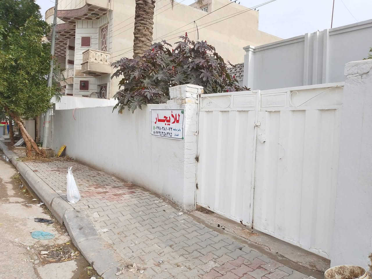 مشتمل للايجار واسط الكوت الحيدريه الأولى خلف اعداديه الحيدريه
***********
***********
