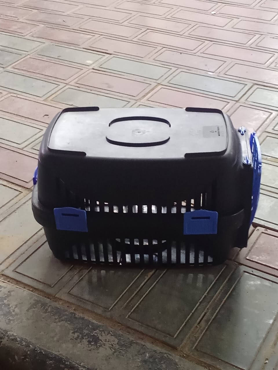 سلام عليكم قفص السعر ١٥  الشراي يراسل وبخدمته


**إذا كنت صاحب هذا الإعلان وتريد حذفه لأي سبب، رجاءا أرسل رسالة إلى الدعم الفني**