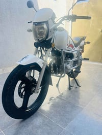 سنكي ساو • 2024 • مع الاوراق