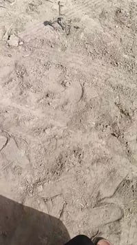 كربلاء طوريج • ٤٠٠م • طابو سند٢٥