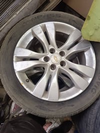 تخم ويل كب ١٧  خليجي تفصيخ وياله ١٦ اسود وياله ١٥ اسود للبيع او المراو...